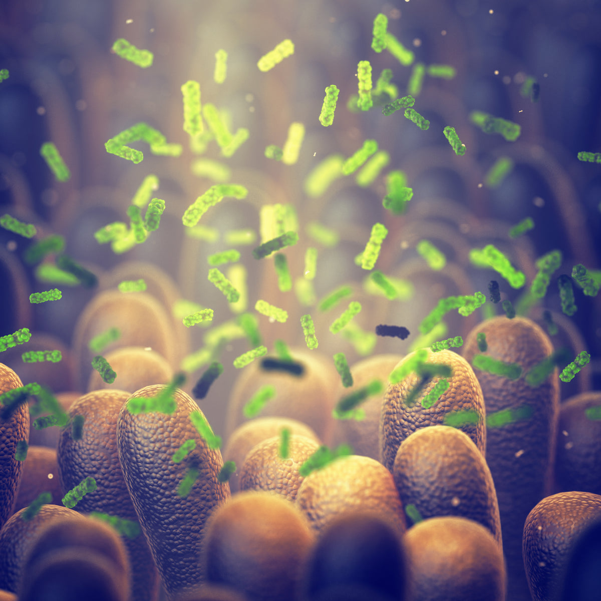 Unveiling the Power of Enzymes for Digestive Health