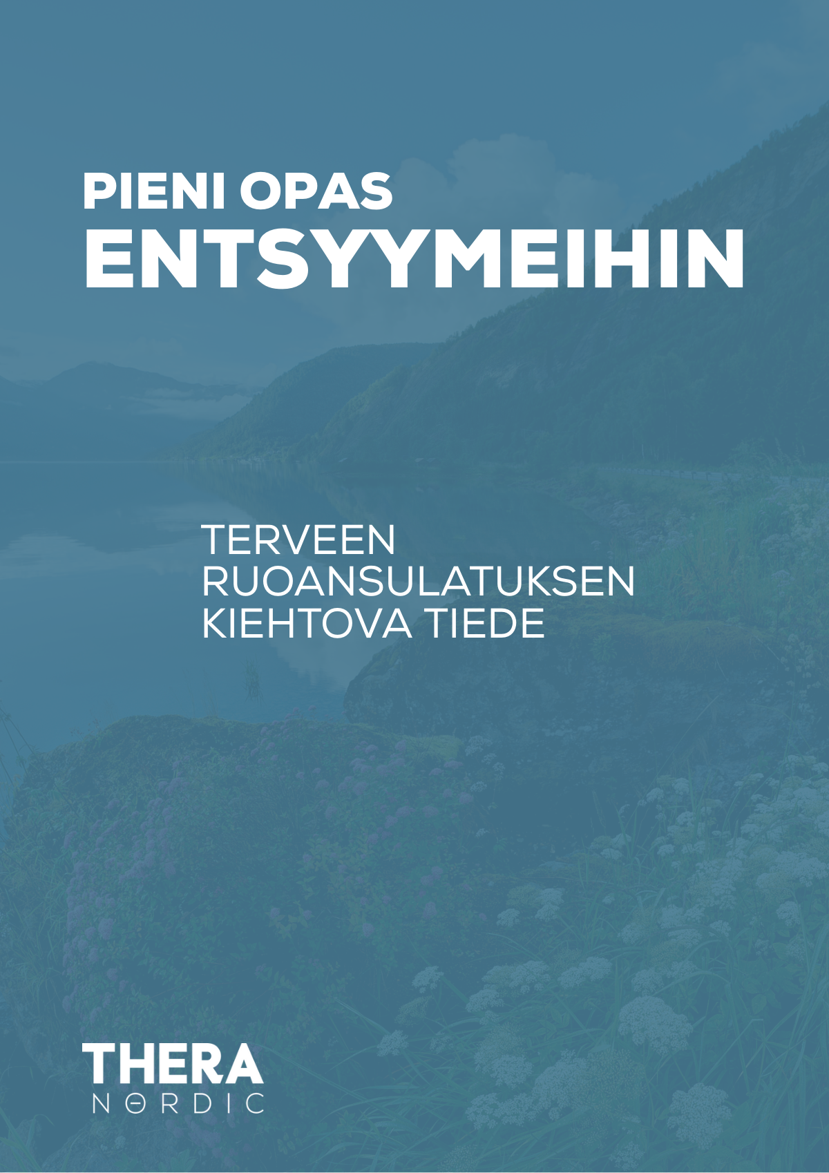 E-kirja: Pieni opas entsyymeihin