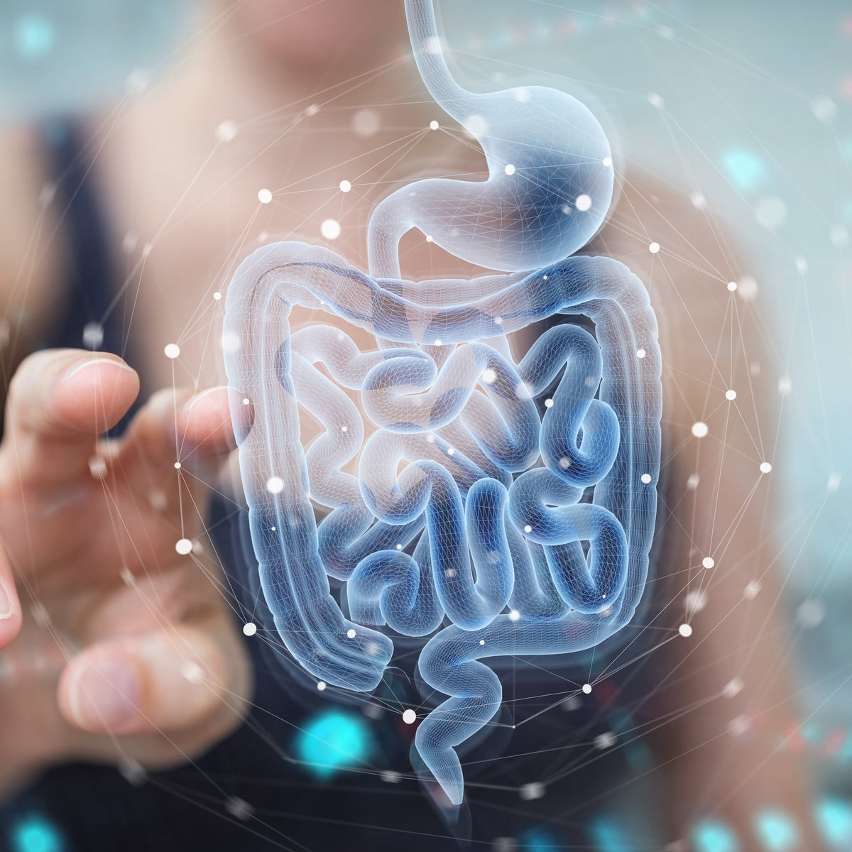What is the difference between HCL and Optimized Enzymes