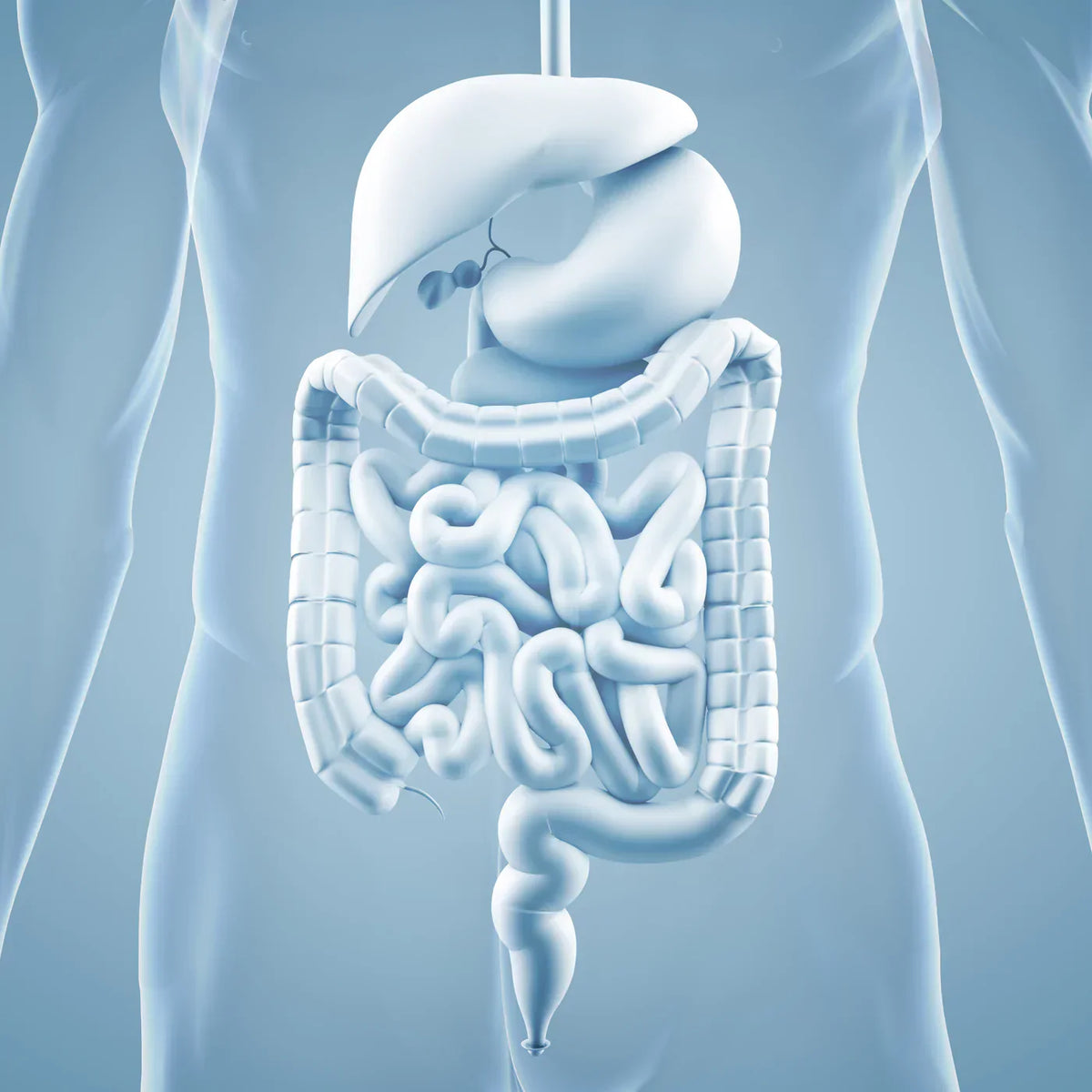 IBS & Bloating